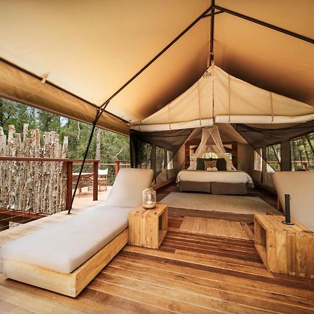 Paperbark Camp Hotel Woollamia Ngoại thất bức ảnh